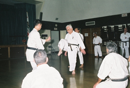 Tasaki Shihan Demonstrates Kick