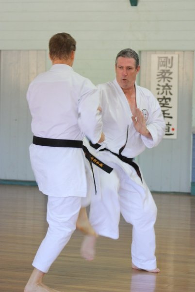 Goju ryu Karate do Seiwakai Seminar 2009