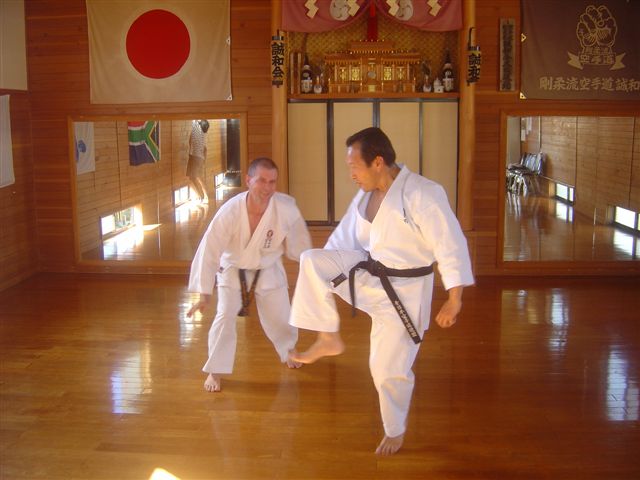 Fujiwara Kick